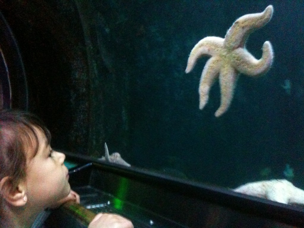 Liliana with starfish